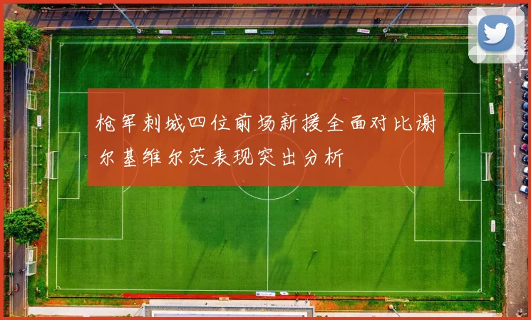 枪军刺城四位前场新援全面对比谢尔基维尔茨表现突出分析