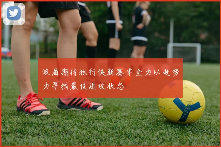 浓眉期待独行侠新赛季全力以赴努力寻找最佳进攻状态