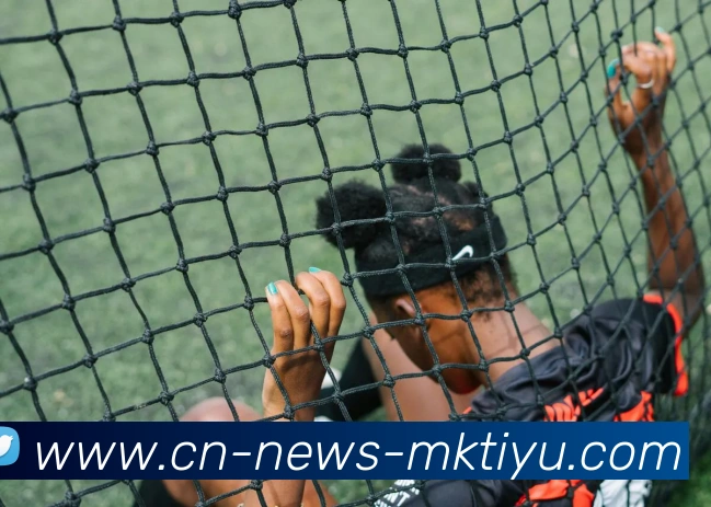 MK体育APP 高清赛事图